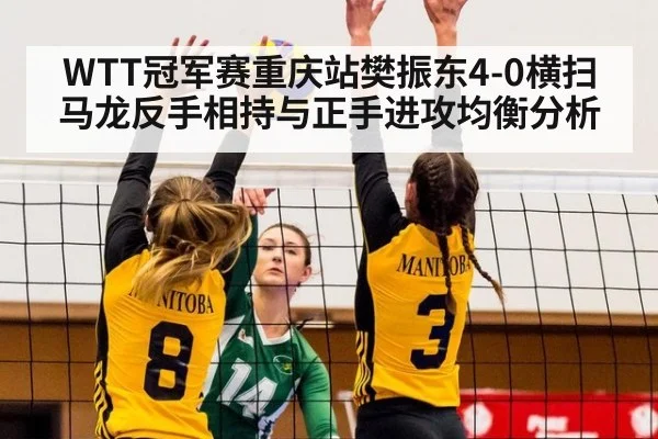WTT冠军赛重庆站樊振东4-0横扫马龙反手相持与正手进攻均衡分析