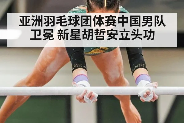 亚洲羽毛球团体赛中国男队卫冕 新星胡哲安立头功